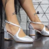 Pantofi cu Toc gros 2YXD30 Argintiu Mei