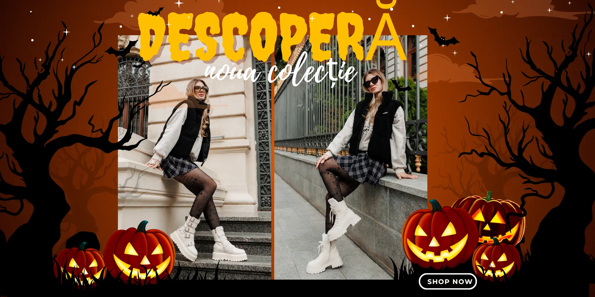 Pantofi Sport Dama